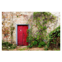 Fotografie Red Door in Old Brick and Stone Cottage, Mint Images, 40 × 26.7 cm