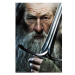 The Lord Of The Rings - Pán prstenů - Gandalf - plakát