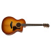 Taylor 214ce Plus Special Ziricote