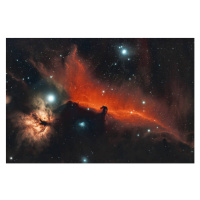 Fotografie Horsehead and Flame nebula, James Yu, 40x26.7 cm