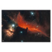 Umělecká fotografie Horsehead and Flame nebula, James Yu, (40 x 26.7 cm)