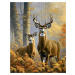 Obrazy na stěnu - Jelení lesní krása Rozměr: 40x50 cm, Rámování: vypnuté plátno na rám