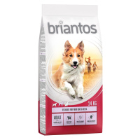 Briantos granule, 12 / 14 kg - 10 % sleva - Adult losos s rýží (14 kg)