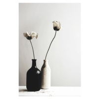 Fotografie Black And White Vase No 2, Treechild, 26.7x40 cm