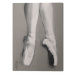 Obraz na plátně Hazel Bowman - Dancing Feet II, (30 x 40 cm)