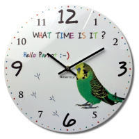 Kvalitní dětské nástěnné hodiny 30 cm s papouškem