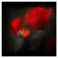 Fotografie fireworks in nature, Gilbert Claes, 40 × 40 cm