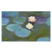 Obrazová reprodukce Waterlilies, Evening, Claude Monet, 40 × 26.7 cm