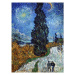 Reprodukce obrazu 45x60 cm Country road in Provence by night - Fedkolor