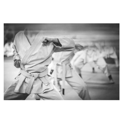 Fotografie Elbow punch in karate. Children's training., uladzimir_likman, 40 × 26.7 cm