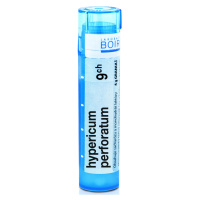 Boiron Hypericum perforatum CH9 4 g