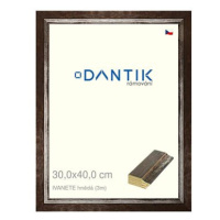 DANTIK rámeček 30 × 40, IVANETE hnědý plexi čiré