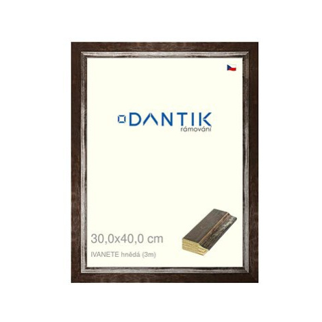 DANTIK rámeček 30 × 40, IVANETE hnědý plexi čiré