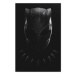 Plakát 61x91,5cm - Black Panther: Wakanda Forever - Mask