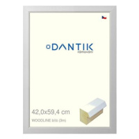 DANTIK rámeček 42 × 59,4, WOODLINE bílý plexi čiré