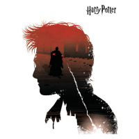 Umělecký tisk Harry Potter and Lord Voldemort, 26.7x40 cm