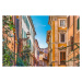 Fotografie Narrow street in Rome, Gabriele Maltinti, 40 × 26.7 cm