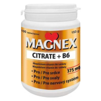 Magnex citrate 375mg+B6 tbl.100
