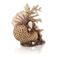 biOrb coral-shells ornament přírodní