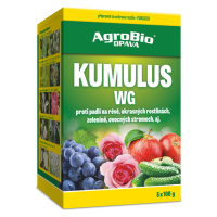 AgroBio KUMULUS WG 5x100g