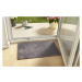 Hanse Home Collection koberce Rohožka Clean & Go 102502 - na ven i na doma - 100x150 cm