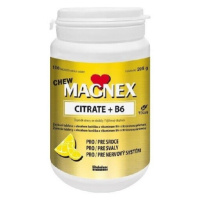 Magnex Citrate 375mg+B6 chew tbl.100