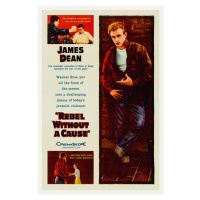 Ilustrace Rebel without a cause, Ft. James Dean, 3602 Theatre Retro movie, 26.7 × 40 cm