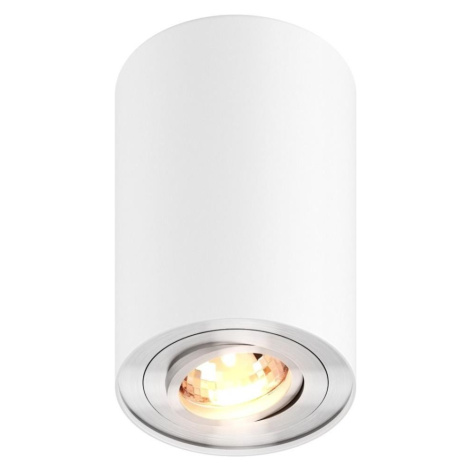 Zuma Line 45519-N - Bodové svítidlo RONDOO 1xGU10/50W/230V bílá 45519-N