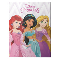 Obraz na plátně Disney Princess - Ariel, Jasmine and Rapunzel, - 60x80 cm