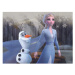 Dřevěné licenční kostky Frozen II – 12 kostek