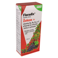 Salus Floradix Železo+ sirup 250 ml
