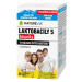 NatureVia Laktobacily 5 Imunita cps.30