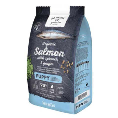 Go Native Puppy Salmon with Spinach and Ginger 12kg ultraprémiové krmivo pro štěňata