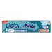 ODOL Junior zubní pasta 6 - 12 let 50 ml