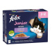 Felix Fantastic Junior Multipack 12x85g