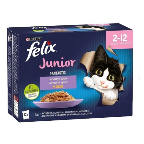 Felix Fantastic Junior hovězí, kuře, sardinky, losos v želé 12 x 85 g