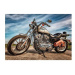 Dino HARLEY DAVIDSON 500 Puzzle