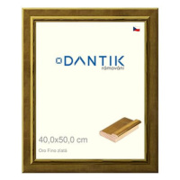 DANTIK rámeček 40 × 50, Oro Fino zlatý sklo čiré