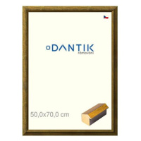 DANTIK rámeček 50 × 70, Forgia Gold plexi čiré