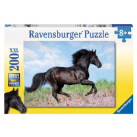 Ravensburger 12803 puzzle černý hřebec 200 dílků xxl