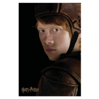 Umělecký tisk Harry Potter - Ron Weasley, 26.7 × 40 cm
