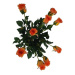 Umělá květina poupě Růže oranžová, 64 cm, 9 ks