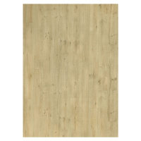 PVC podlaha - lino Toptex Sweet Oak 626M - Rozměr na míru cm