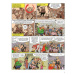 Asterix 38 - Vercingetorixova dcera - Jean-Yves Ferri