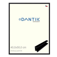 DANTIK rámeček 40 × 50, ALU profil 7003 Černý matný plexi čiré