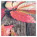 Krásný podzimní koberec listí na podlaze
