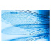 Fotografie Close-up of dragonfly wings, PhotoAlto/Odilon Dimier, 40x26.7 cm