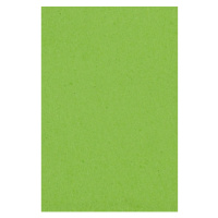 Amscan Ubrus zelený 137 x 274 cm