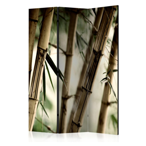 Paraván Fog and bamboo forest Dekorhome 225x172 cm (5-dílný) Artgeist