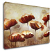 Impresi Obraz Malované květiny - 90 x 60 cm